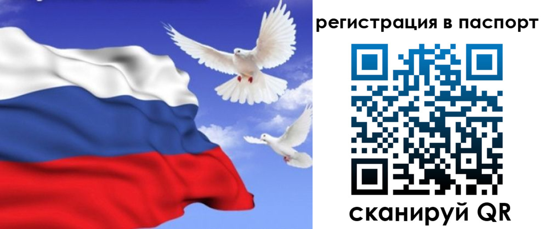 купить прописку в Нерехте